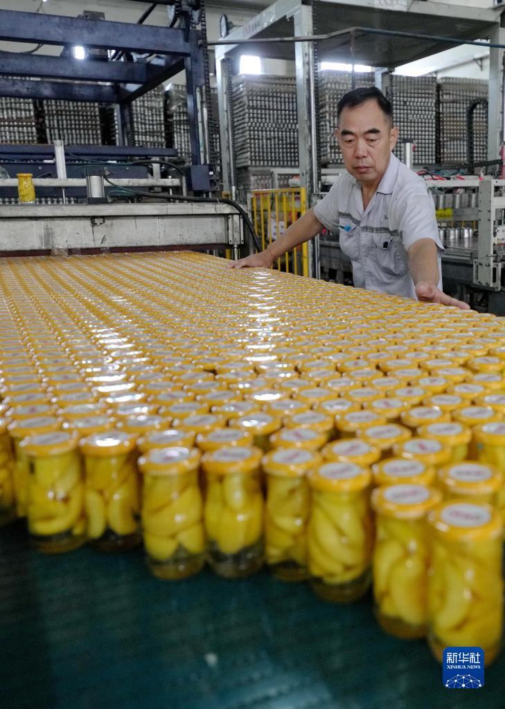 捕鱼游戏电脑版,下载游戏捕鱼打鱼可味